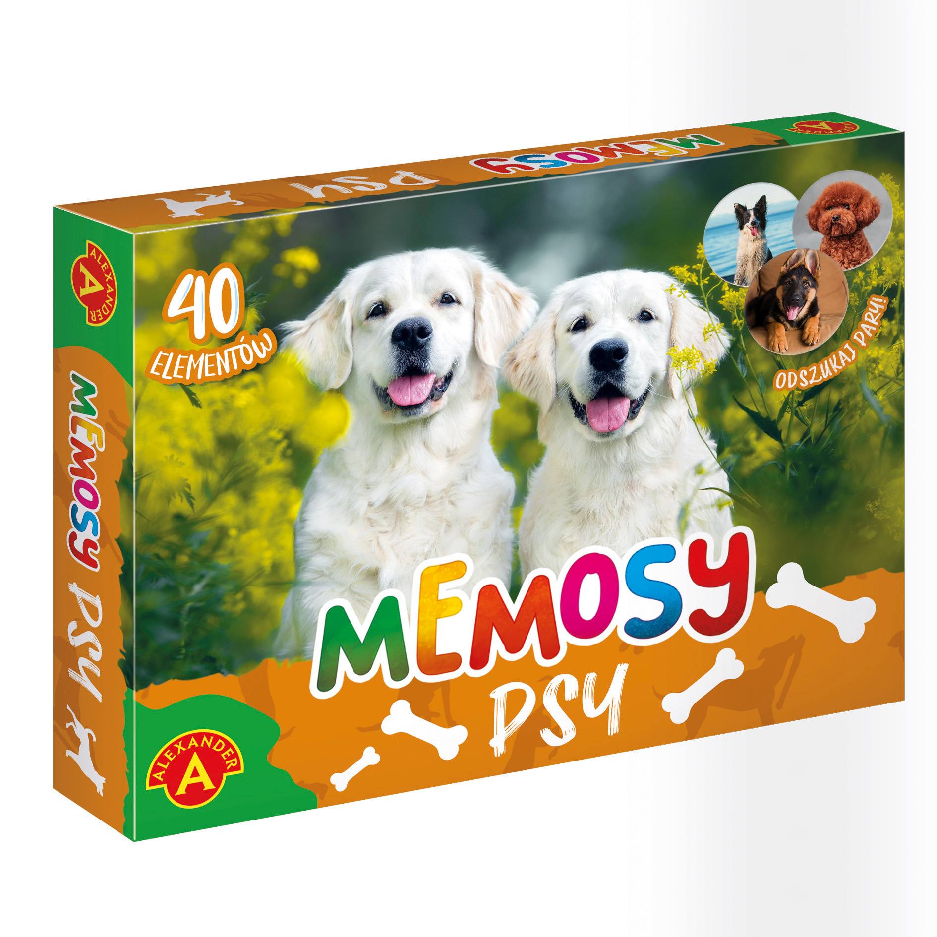 Zestaw 40 tabliczek do gry Memosy Psy – widok ułożonych kart