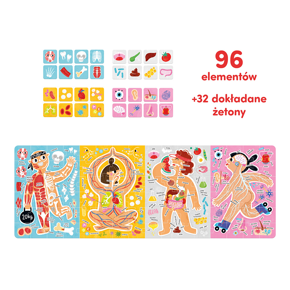Puzzle Tak działa moje ciało - szczegółowa ilustracja narządów ludzkich Bright Junior Media