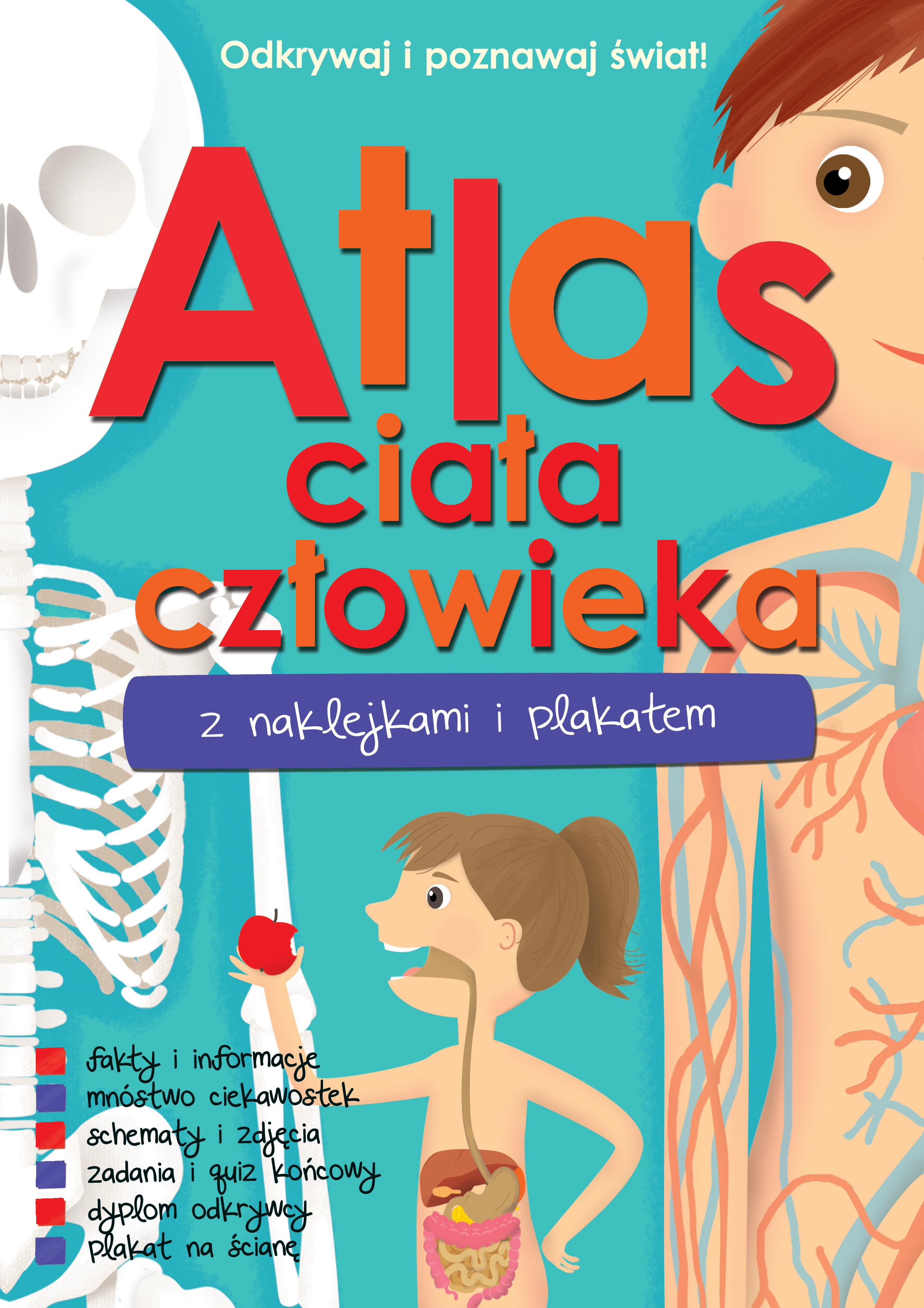 Atlas ciała człowieka Wilga – okładka książki edukacyjnej z naklejkami, quizami i plakatem dla dzieci