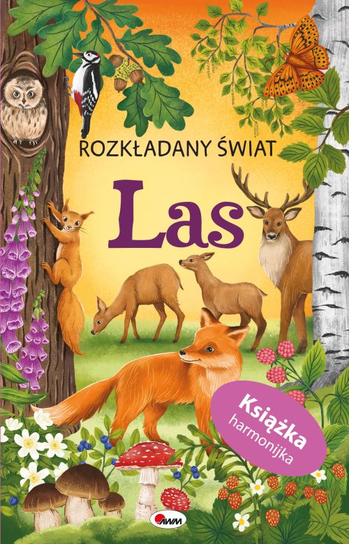 Rozkładany świat. Las AWM, książka harmonijka z leśną panoramą i przyrodniczymi ilustracjami