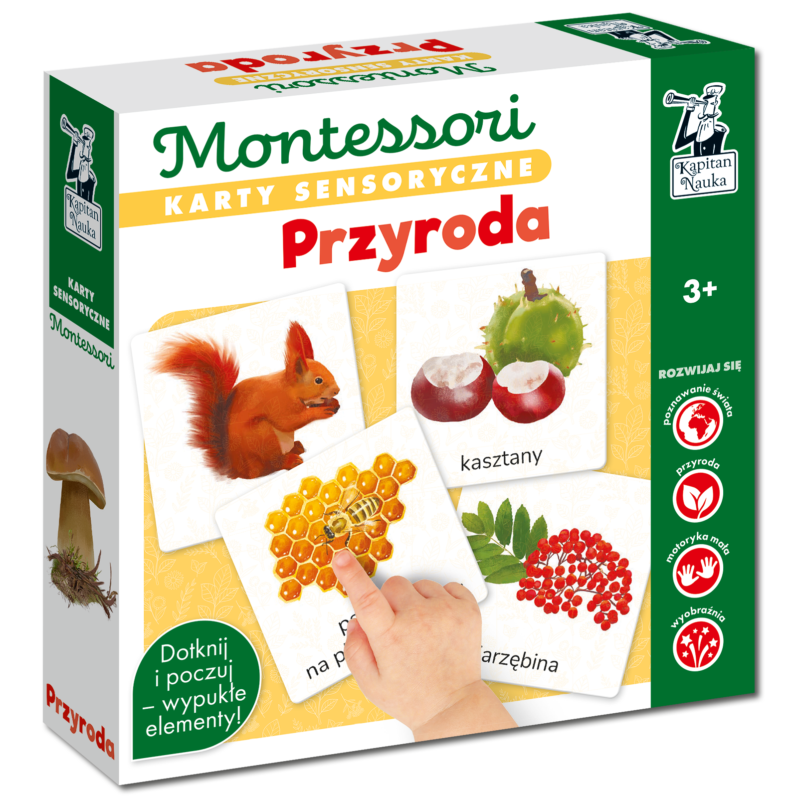 Montessori Przyroda, karty sensoryczne z ilustracjami natury dla dzieci
