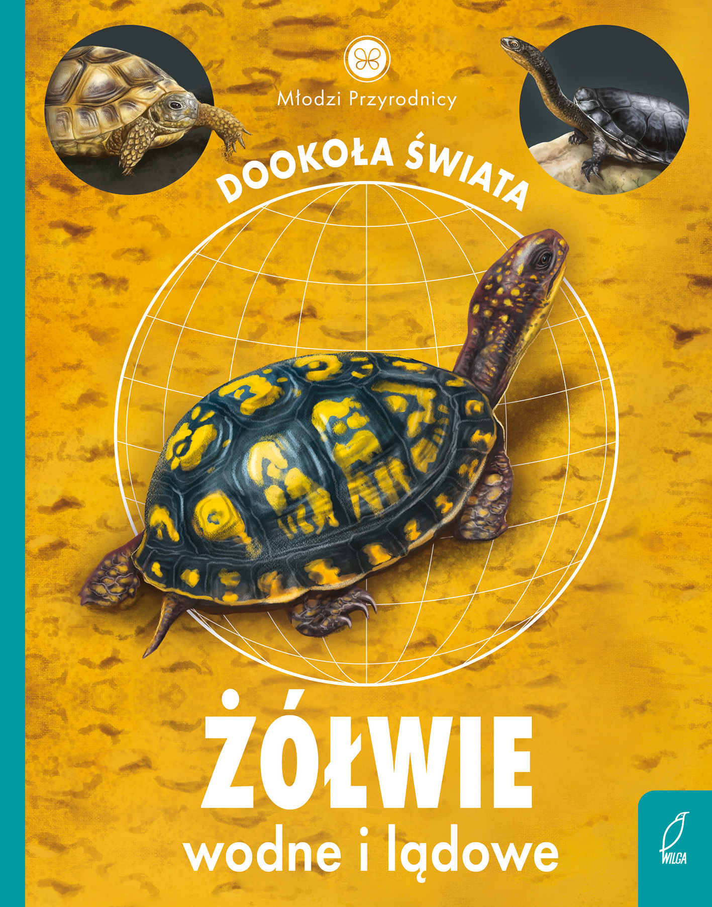 Książka o żółwiach wodnych i lądowych Wilga dla dzieci, pełna przyrodniczych ciekawostek