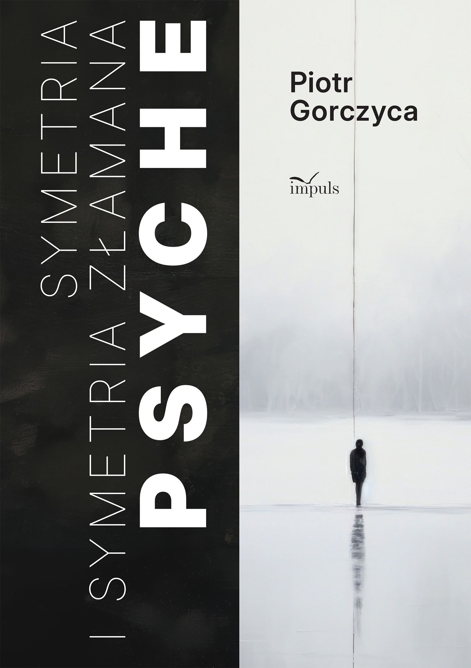 Książka IMPULS „Symetria i symetria złamana psyche” o psychologii, psychiatrii i ludzkiej psychice