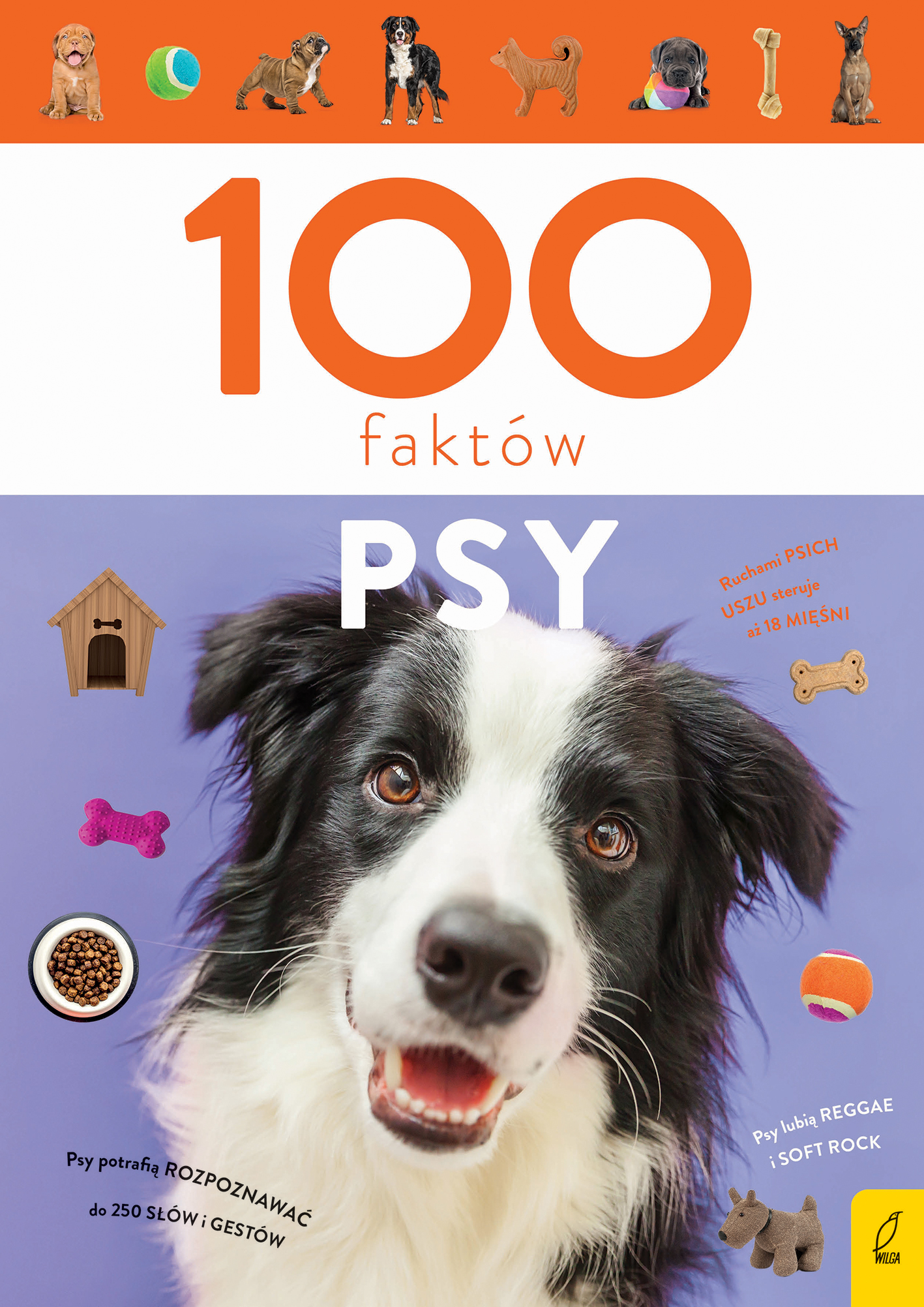 Książka edukacyjna 100 faktów. Psy marki Wilga o rasach i ciekawostkach dla dzieci