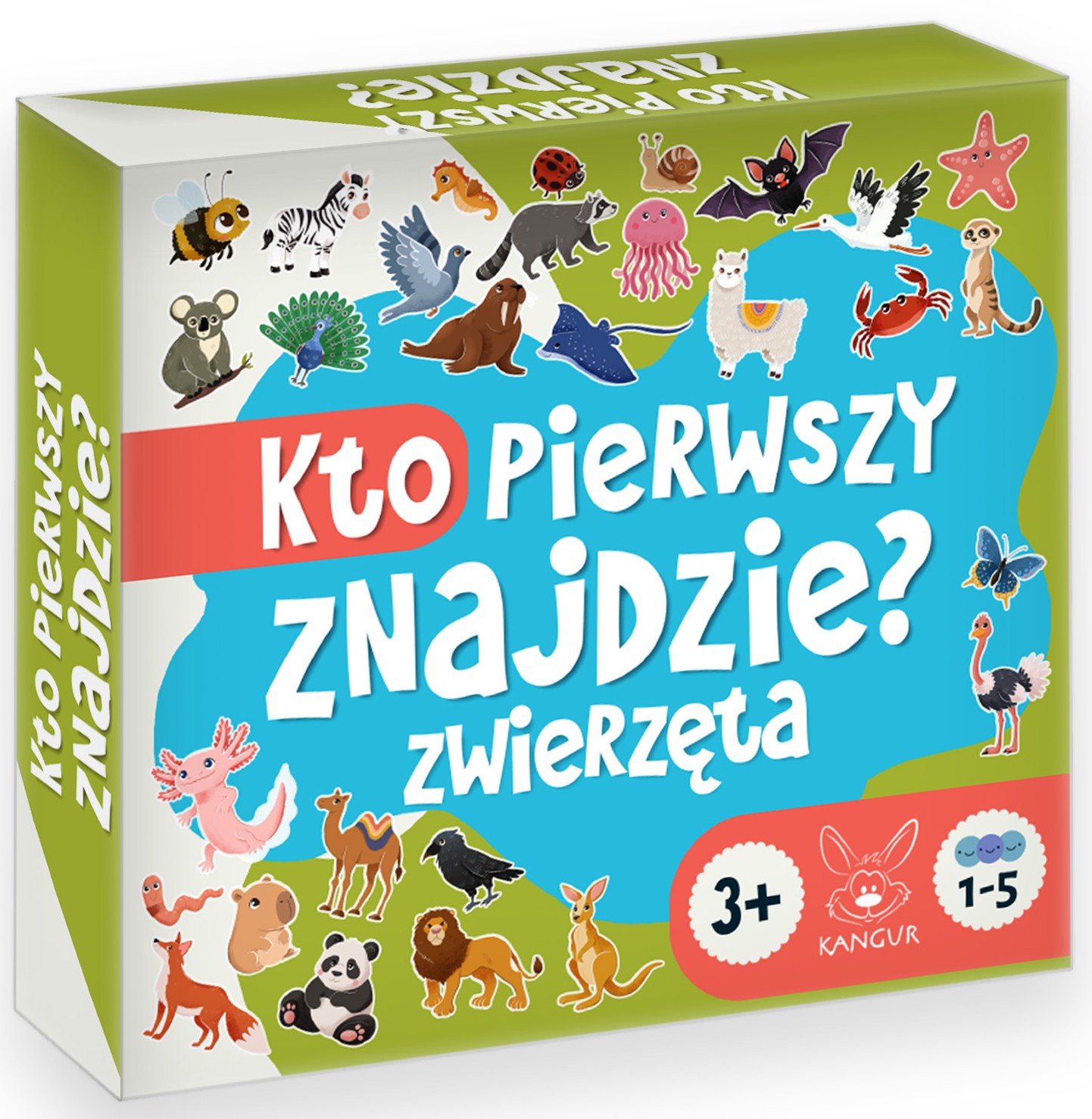 Gra edukacyjna KANGUR z żetonami zwierząt i planszą do ćwiczenia spostrzegawczości