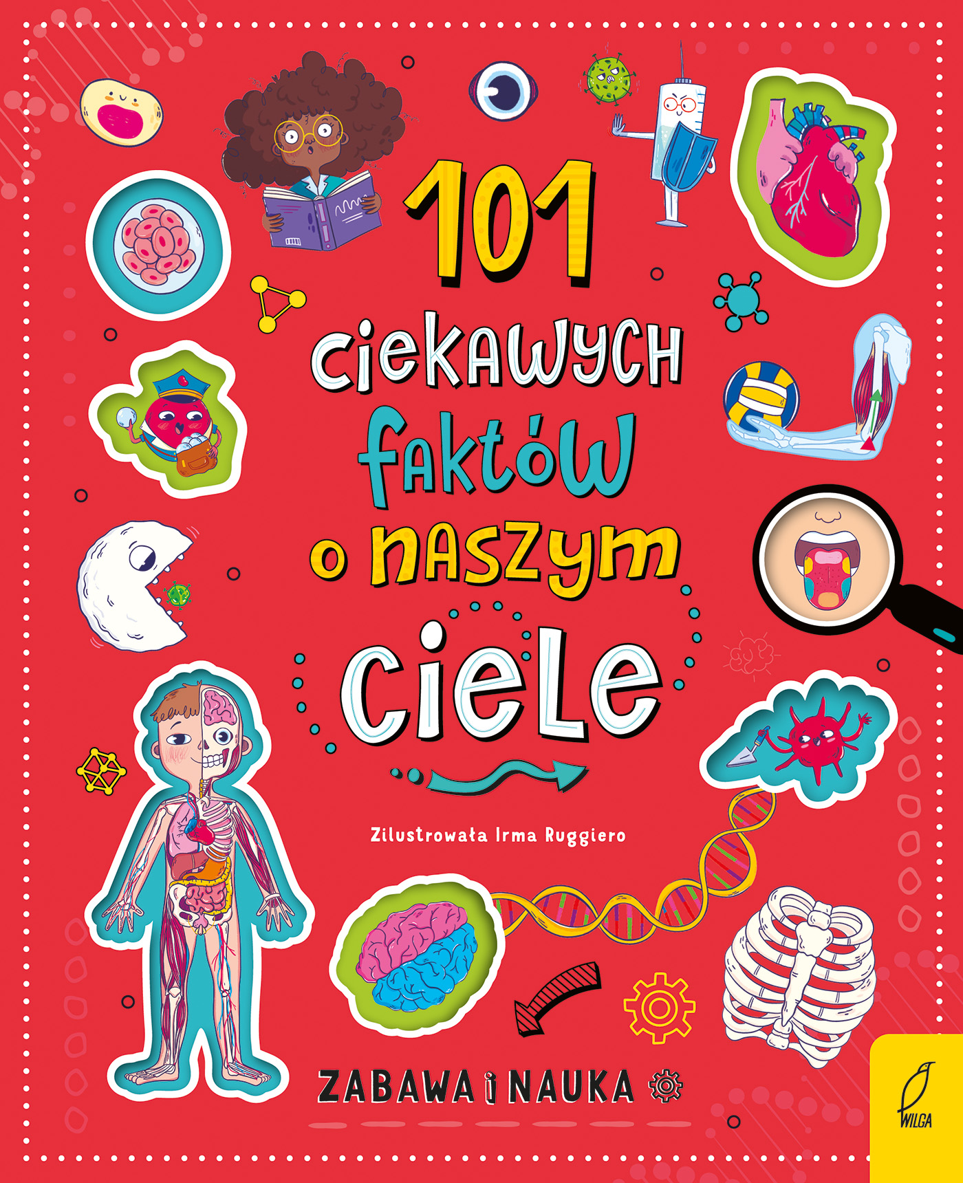 Książka 101 ciekawych faktów o naszym ciele Wilga z klapkami