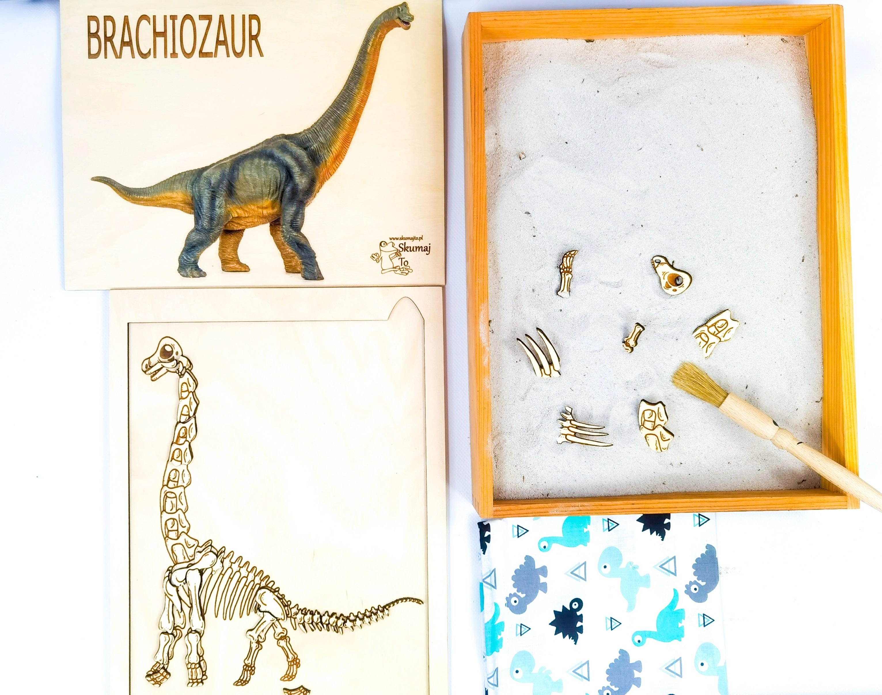 Zestaw Dinozaur Brachiozaur EDUBOBO z piaskiem i tacą do wykopalisk paleontologicznych