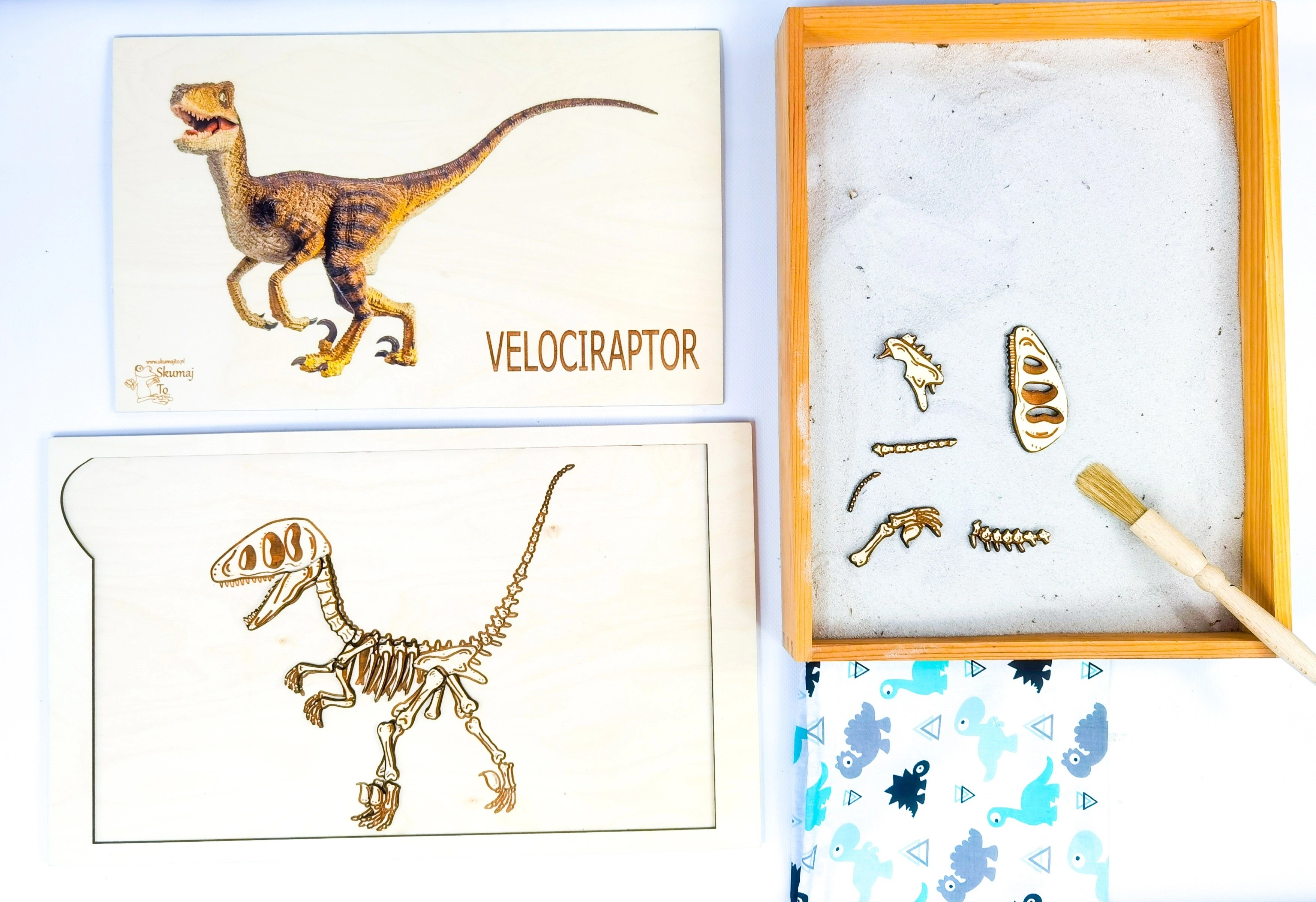 Zestaw wykopalisk Velociraptor EDUBOBO z piaskiem kwarcowym i drewnianą tacą
