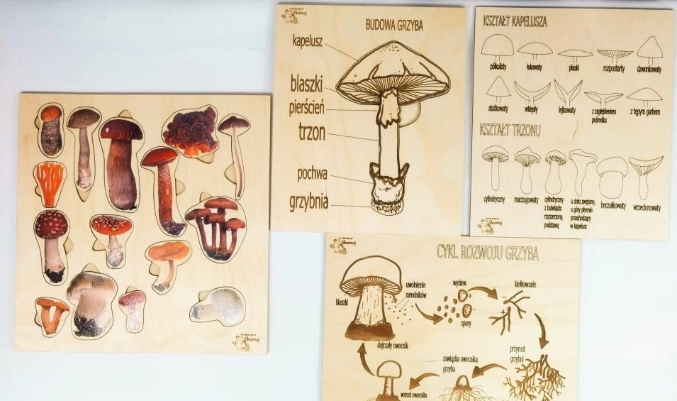 Zestaw drewnianych układanek Grzyby EDUBOBO z kolorowymi grafikami gatunków