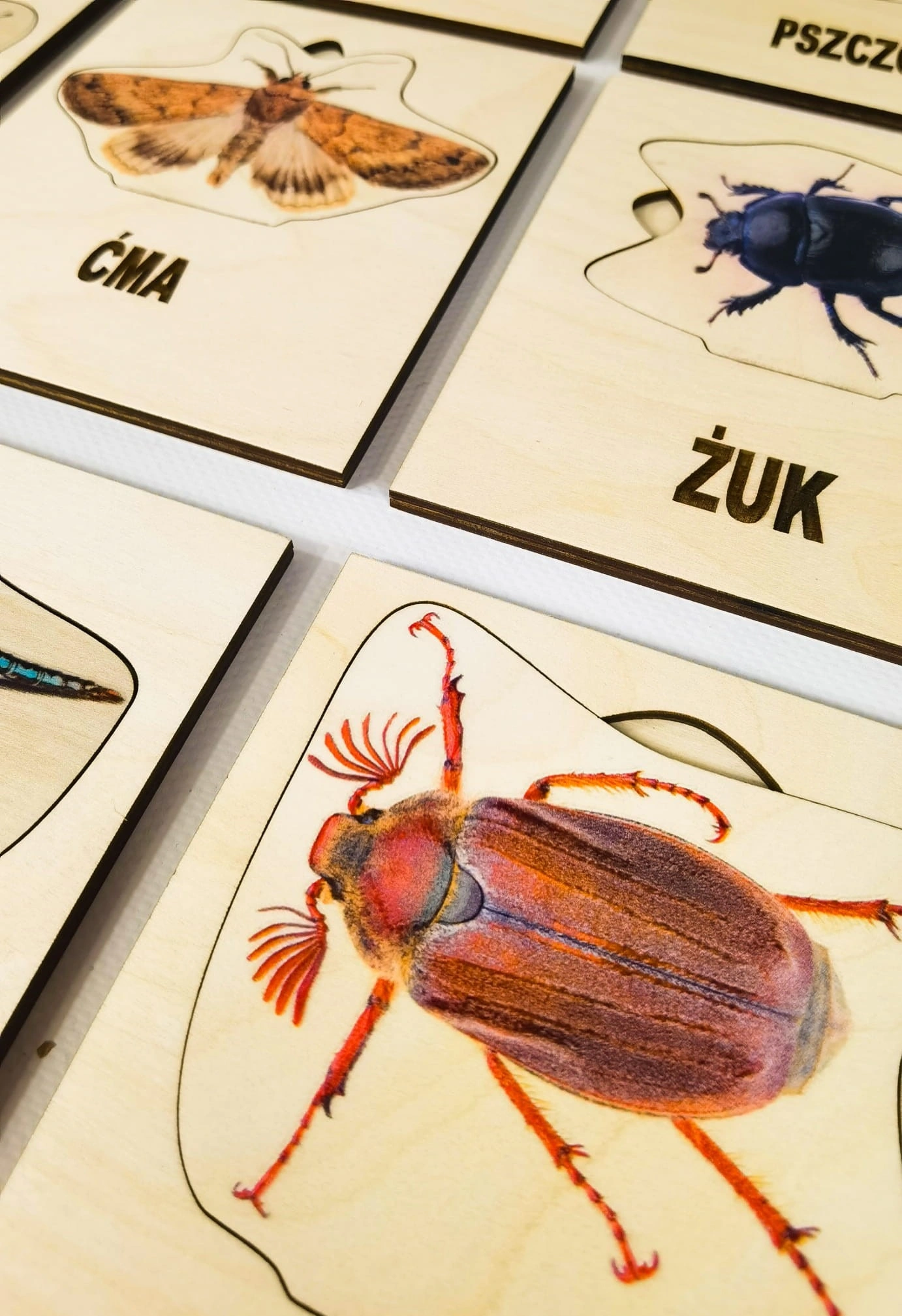Kolorowa Łąka EDUBOBO - detale drewnianych owadów z podstawkami i nazwami