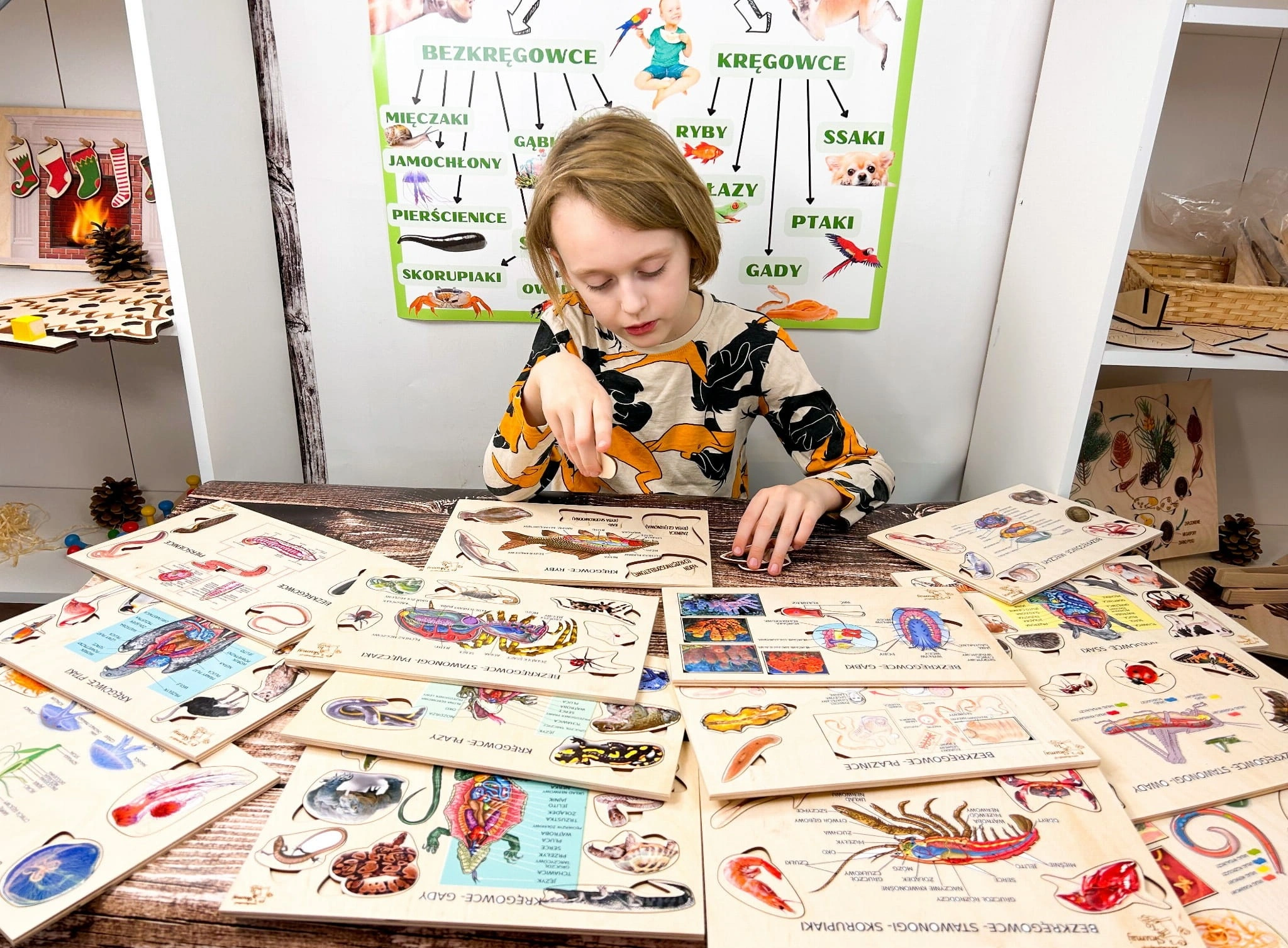 Zestaw drewnianych układanek ze świata zwierząt EDUBOBO - widok elementów edukacyjnych