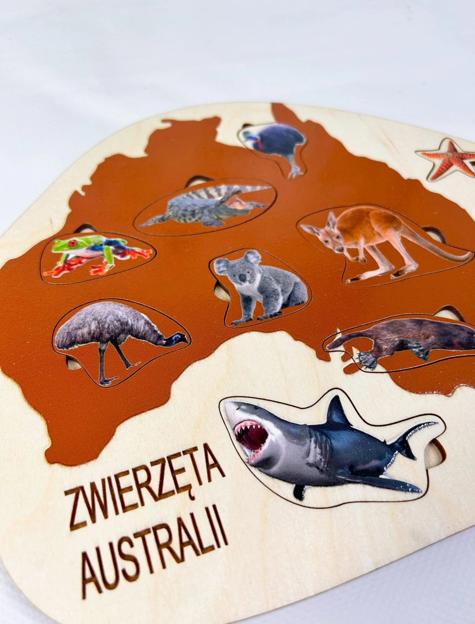 Układanka EDUBOBO o zwierzętach Australii z nazwami umieszczonymi w podstawie