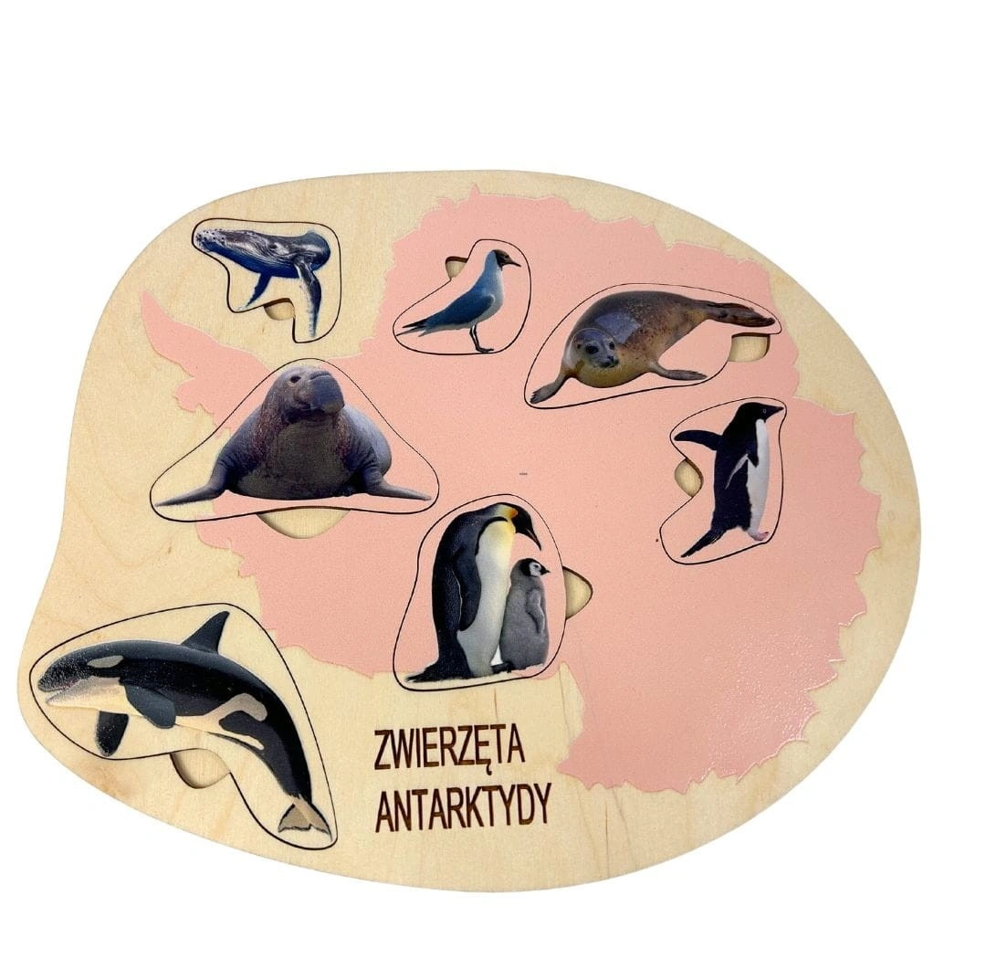 Drewniana układanka edukacyjna Zwierzęta Antarktydy EDUBOBO z realistycznymi ilustracjami