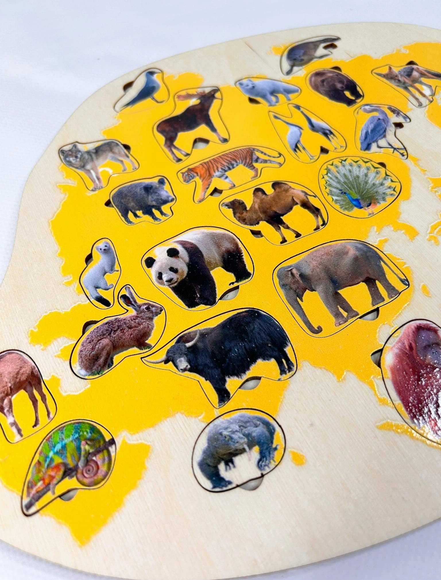 Puzzle przyrodnicze Zwierzęta Azji z podpisami nazw w podstawie układanki