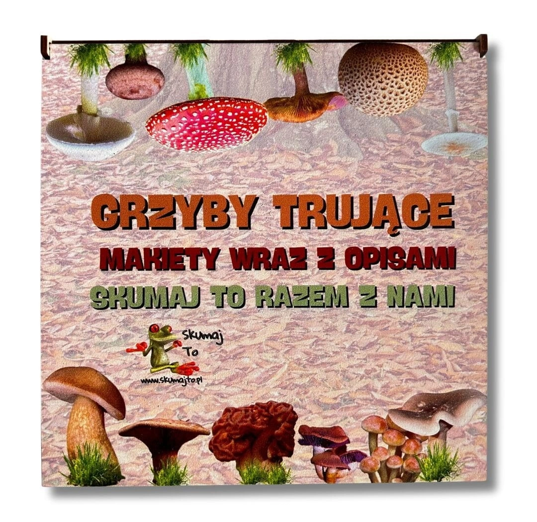 Drewniane karty opisowe makiety grzybów EDUBOBO 10x6 cm