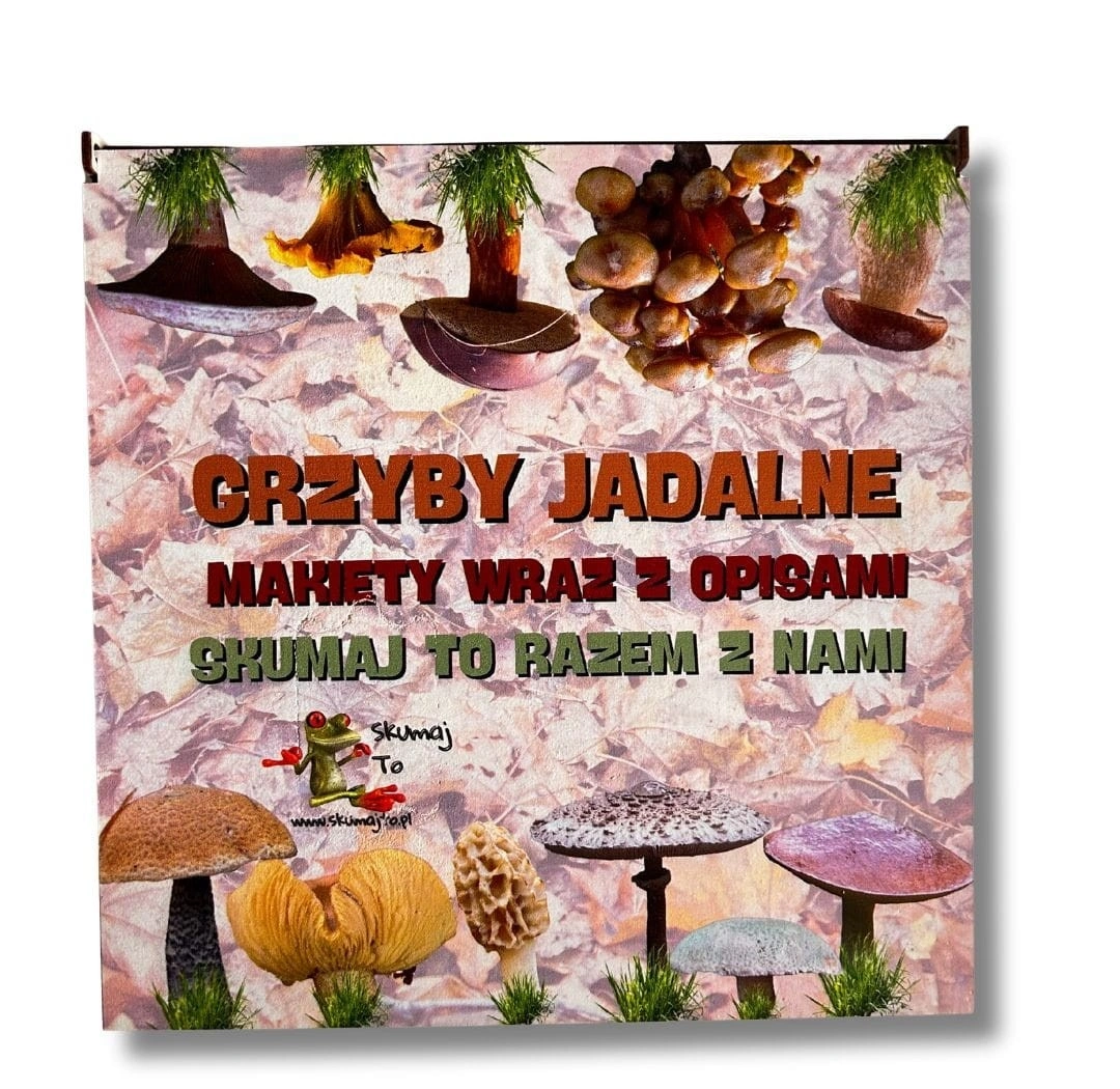 Drewniane modele grzybów jadalnych i karty edukacyjne 10x6 cm z makiety EDUBOBO