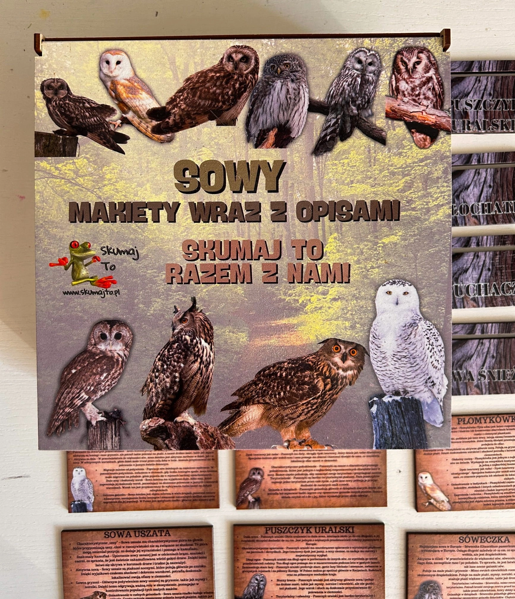 Zestaw drewnianych kart sów EDUBOBO z ilustracjami i opisami gatunków