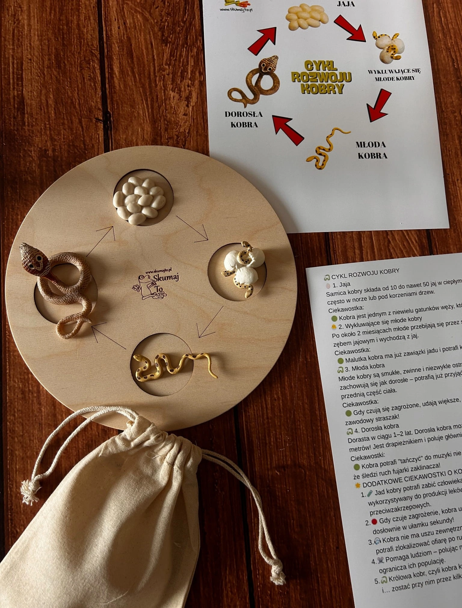 Realistyczne drewniane figurki kobry na edukacyjnej planszy 30 cm