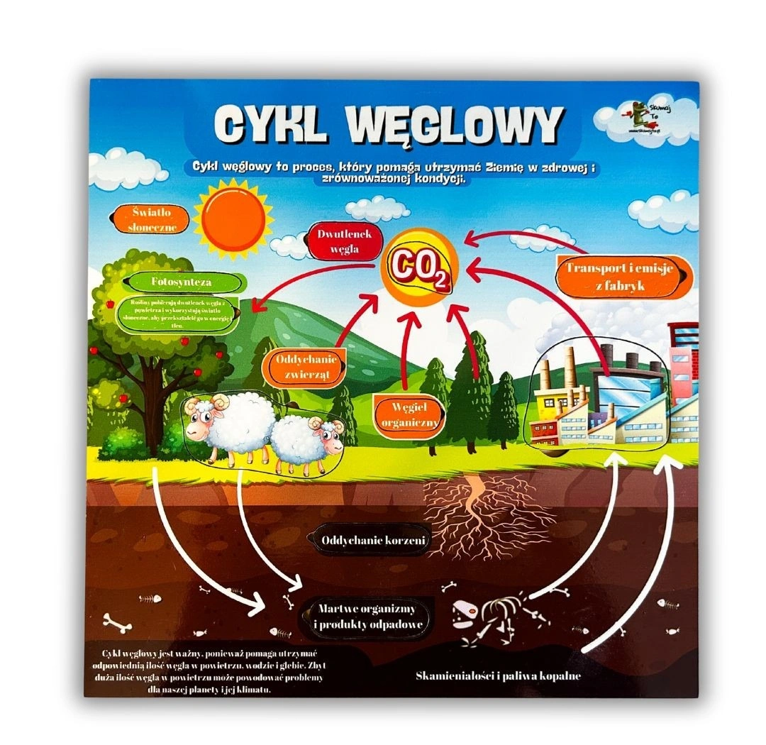 Cykl węglowy EDUBOBO, drewniana pomoc edukacyjna do poznawania obiegu węgla.