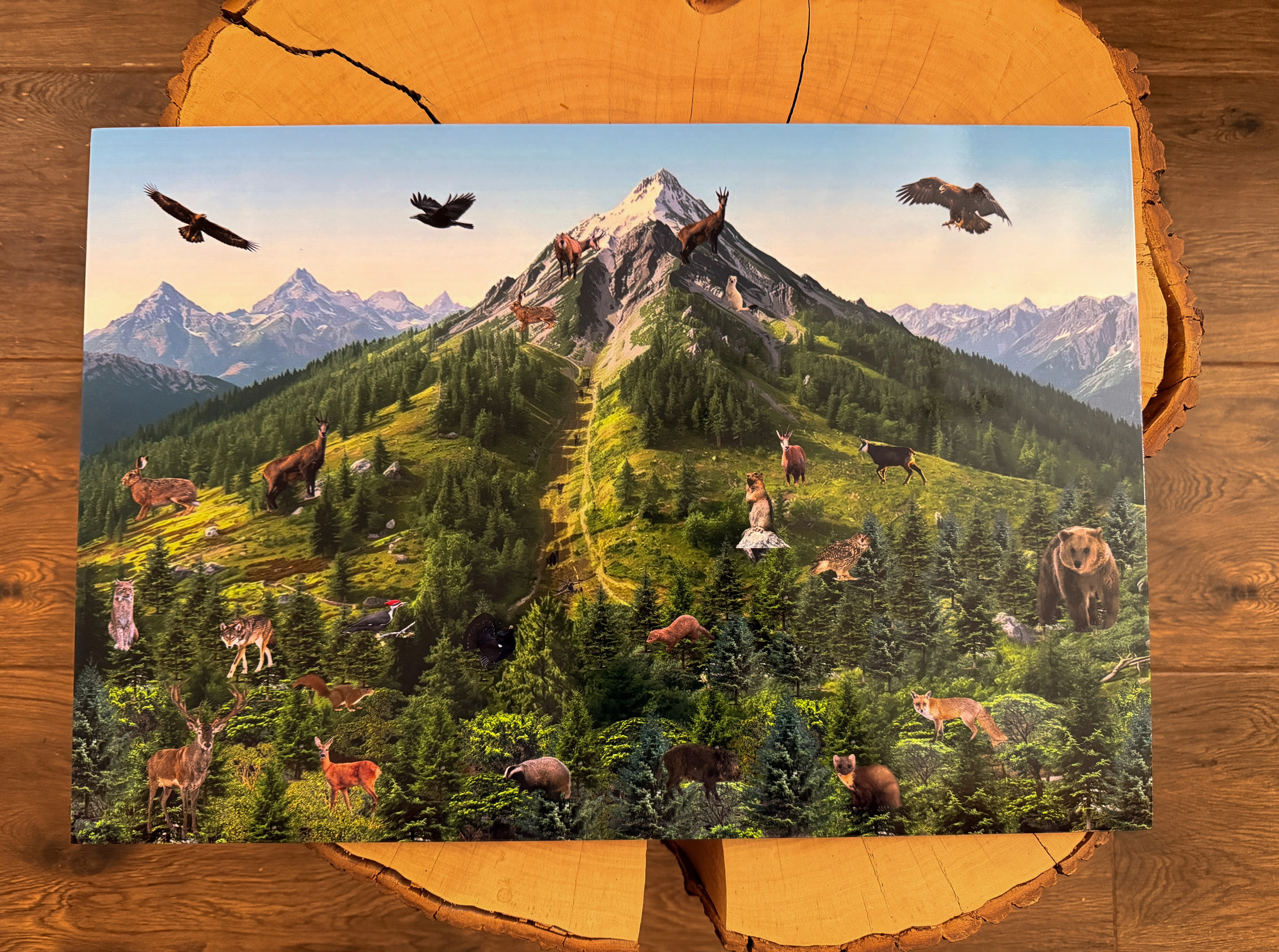 Elementy wyszukiwanki Zwierzęta Gór - drewniane puzzle z nazwami zwierząt na odwrocie