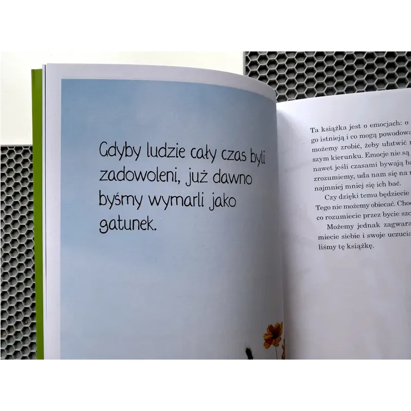 Wnętrze książki Zrozum swój mózg ZNAK z tekstem i ilustracjami