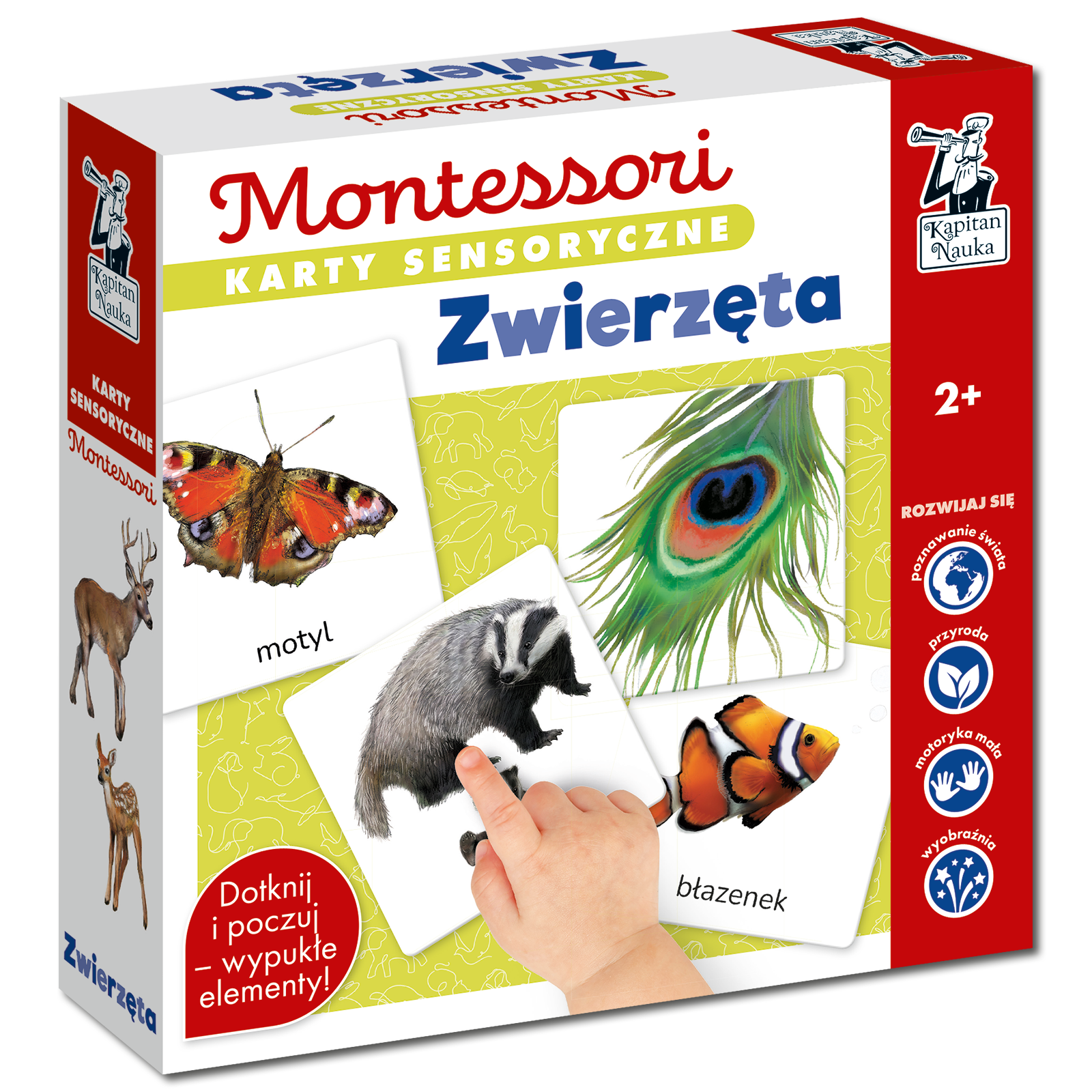 Karty sensoryczne Zwierzęta Kapitan Nauka Montessori - realistyczne ilustracje i elementy dotykowe