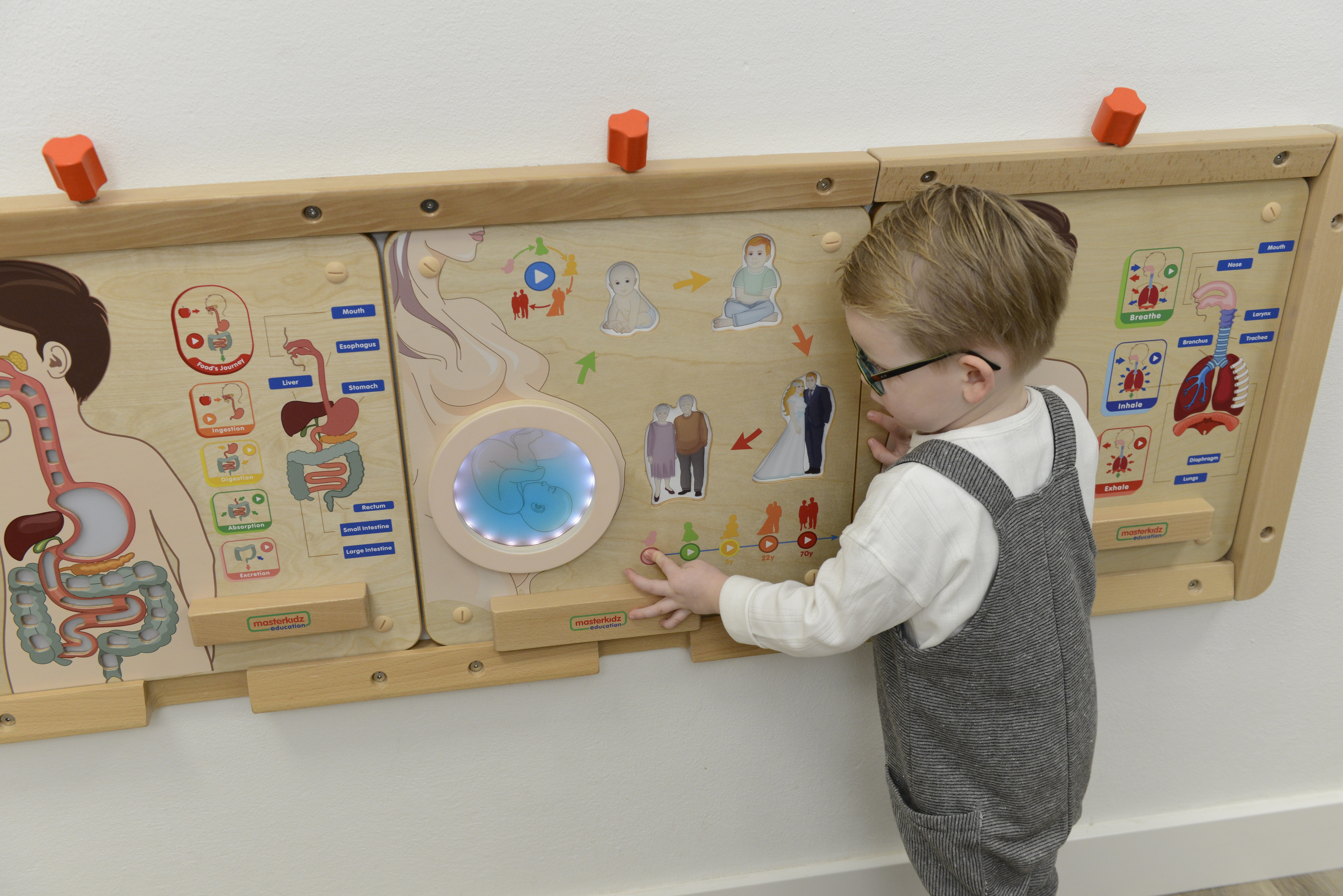 Interaktywne przyciski tablicy edukacyjnej MASTERKIDZ