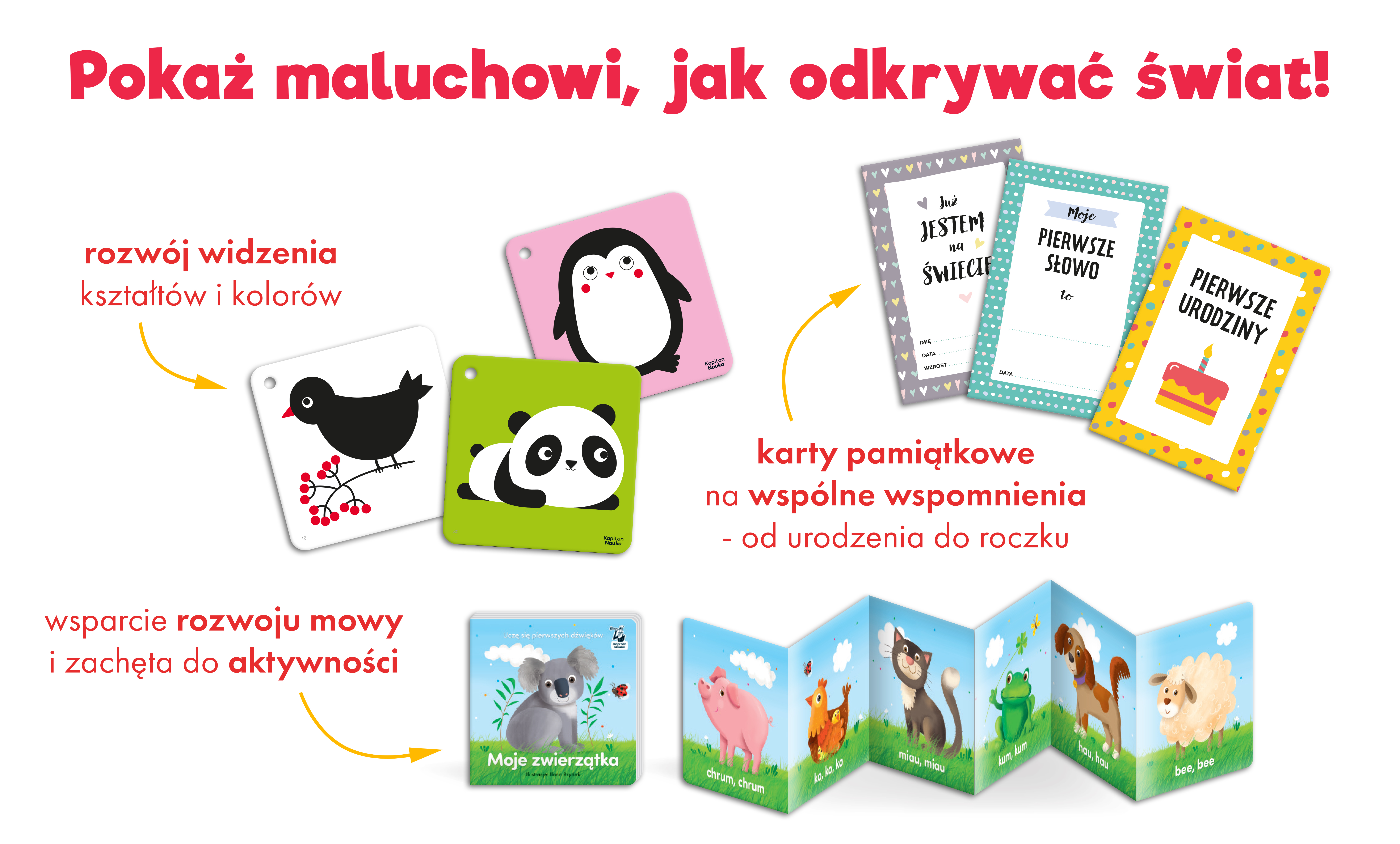Karty do zdjęć z zestawu Mój pierwszy rok dla niemowląt Kapitan Nauka