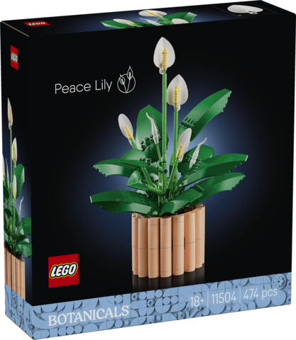 LEGO Botanicals Skrzydłokwiat 11504 dekoracyjny zestaw w brzoskwiniowej doniczce
