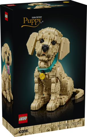 LEGO Icons Szczeniak Golden Retriever 11384 – realistyczna figurka psa z ruchomymi częściami