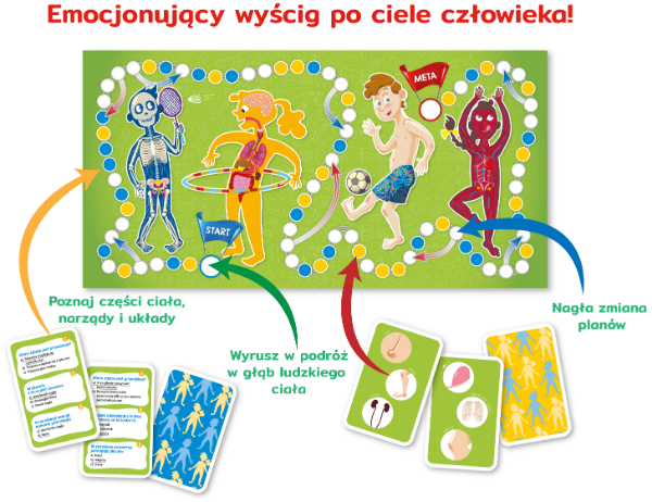 Karty quizowe i plakat z częściami ciała w grze Kapitan Nauka Ciało człowieka
