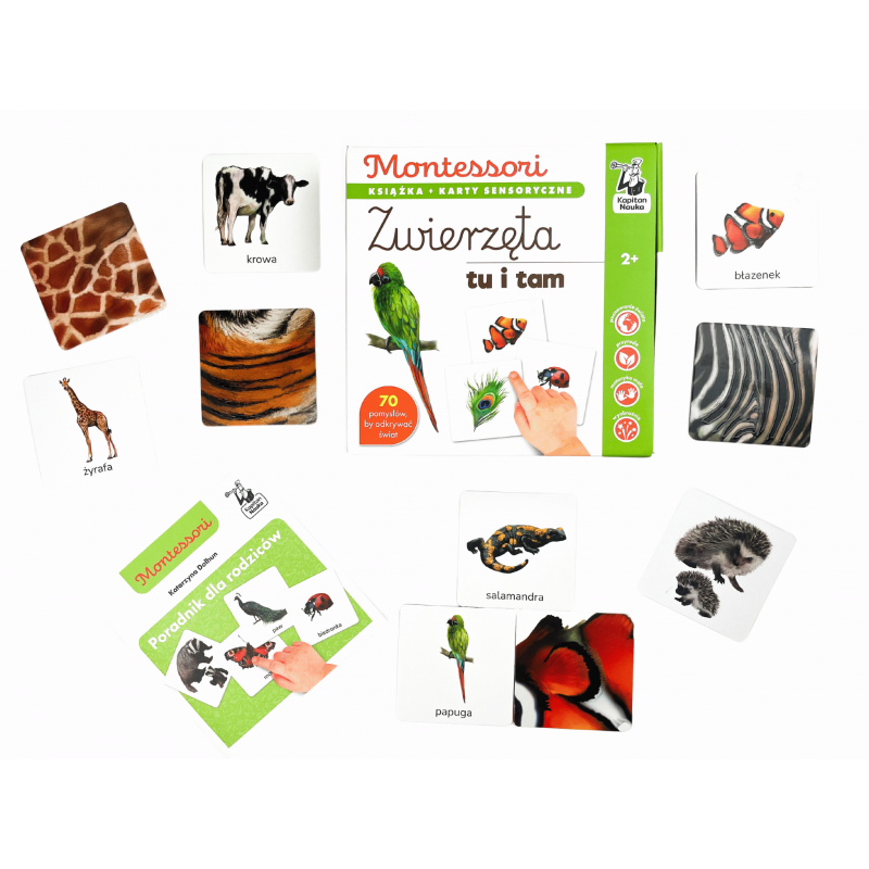 Dwustronne karty sensoryczne Zwierzęta z poradnikiem Kapitan Nauka Montessori