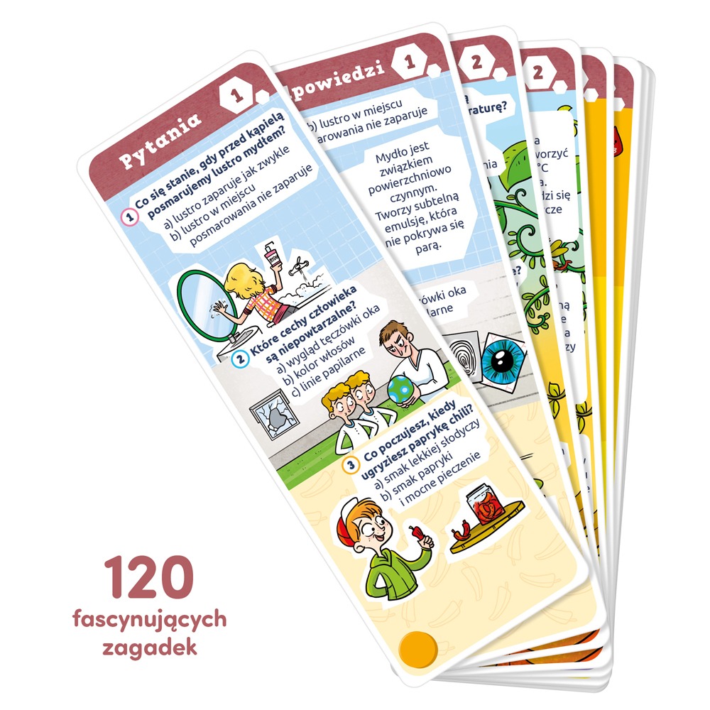 Kolorowe ilustracje Magdaleny Babińskiej w książeczce Xplore Team dla dzieci 9–10 lat